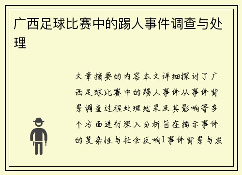 广西足球比赛中的踢人事件调查与处理
