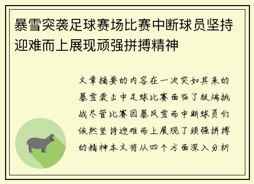 暴雪突袭足球赛场比赛中断球员坚持迎难而上展现顽强拼搏精神