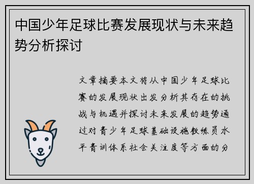 中国少年足球比赛发展现状与未来趋势分析探讨