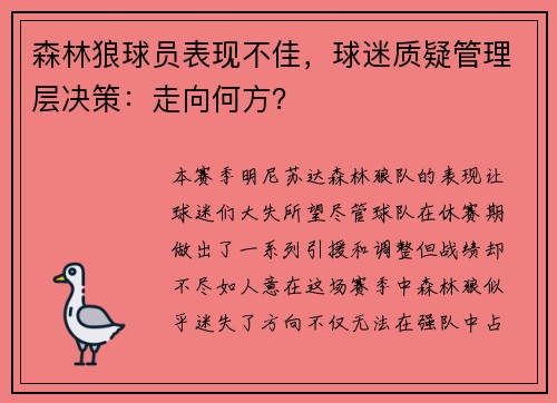 森林狼球员表现不佳，球迷质疑管理层决策：走向何方？