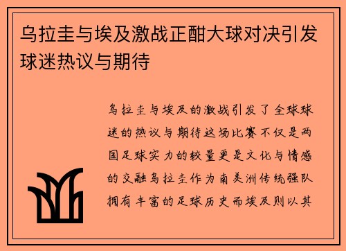 乌拉圭与埃及激战正酣大球对决引发球迷热议与期待