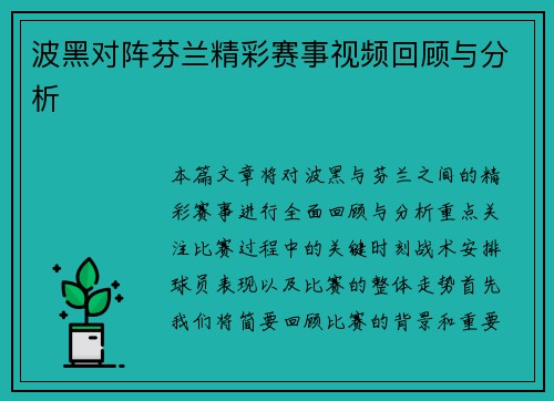 波黑对阵芬兰精彩赛事视频回顾与分析