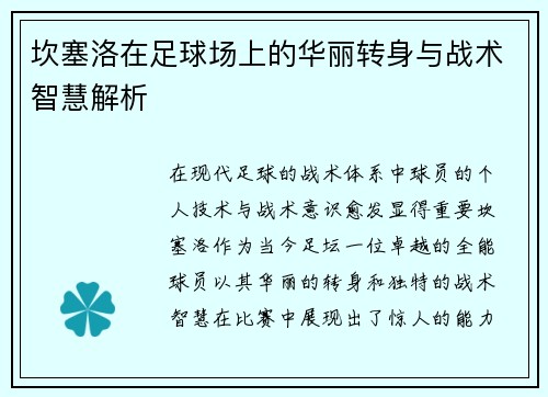 坎塞洛在足球场上的华丽转身与战术智慧解析