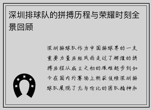 深圳排球队的拼搏历程与荣耀时刻全景回顾